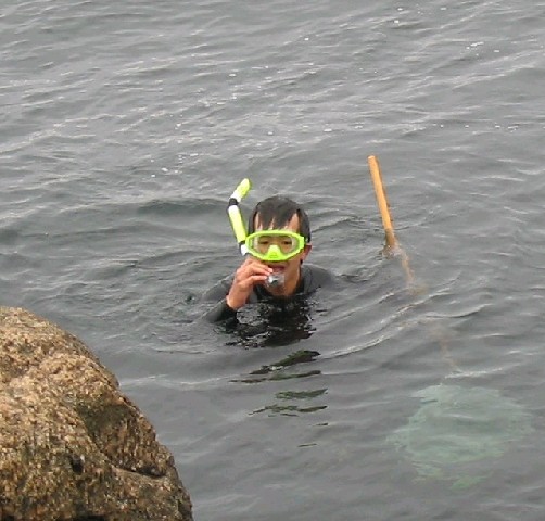 Photograph