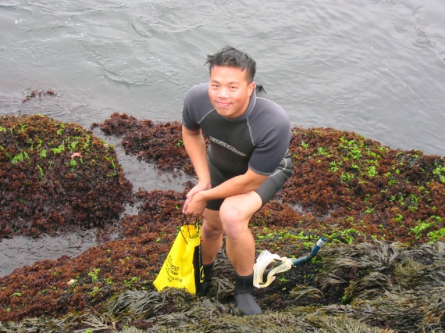 Photograph