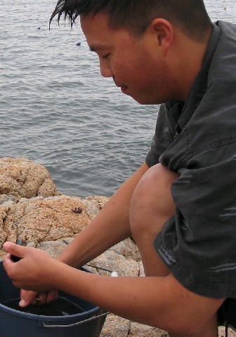 Photograph
